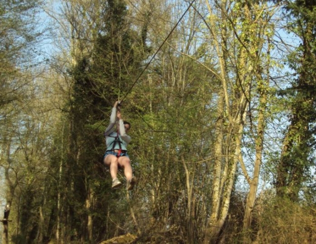 Tyrolienne entre les arbres